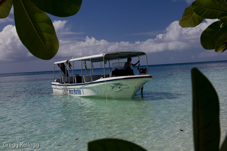 Ulong Island